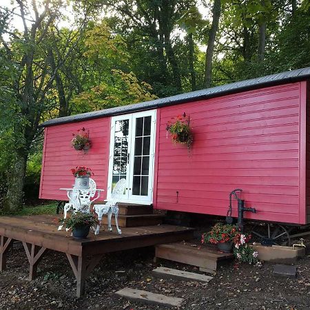 Borthwickbrae Shepherd'S Hut Hawick Luaran gambar